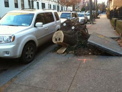 Прикрепленное изображение: tree.jpg